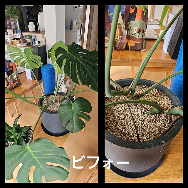 makoさんの部屋