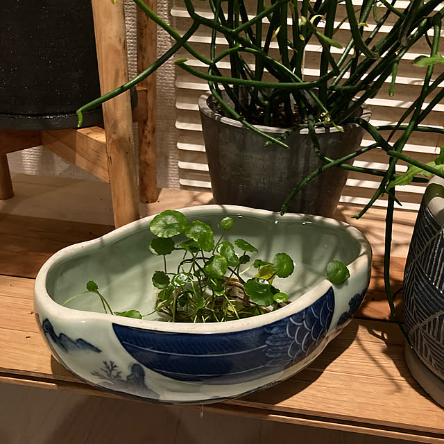 yukiatarIさんの実例写真
