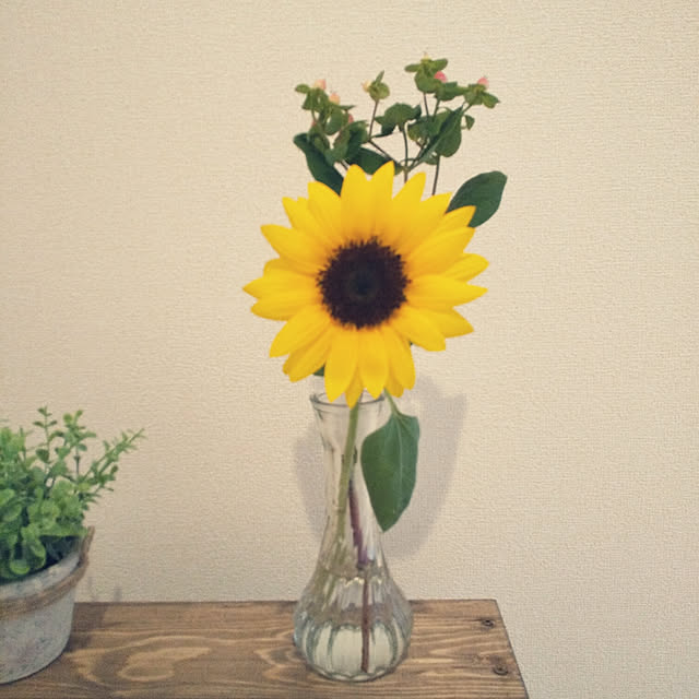 Pi.simple.さんの実例写真