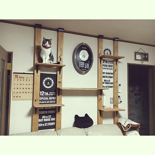 Rumiさんの実例写真