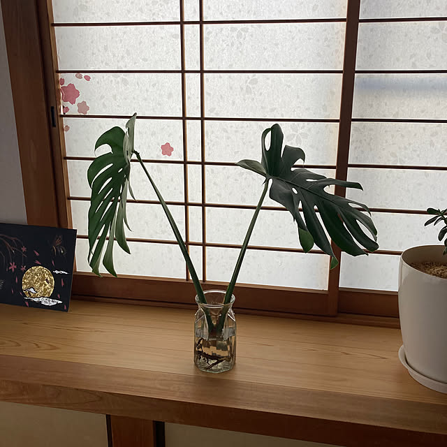 mamaさんの部屋