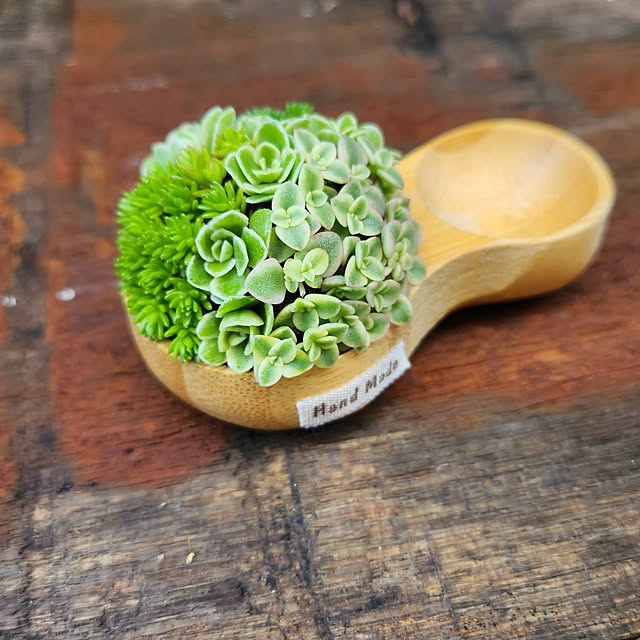 amtさんの実例写真