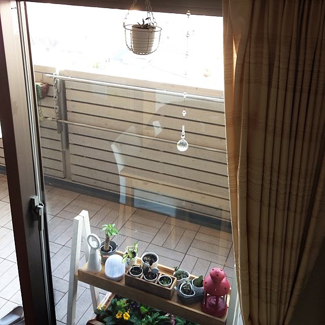 noon88さんの実例写真