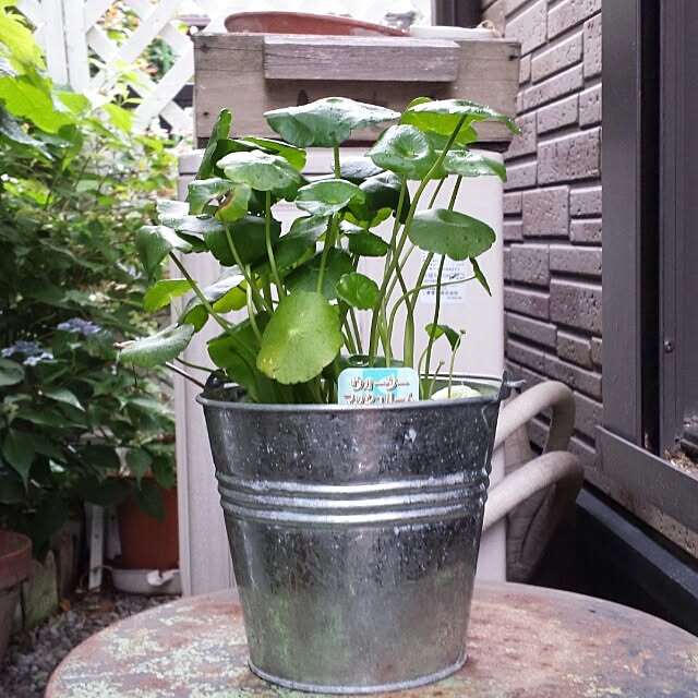 NaNanさんの実例写真