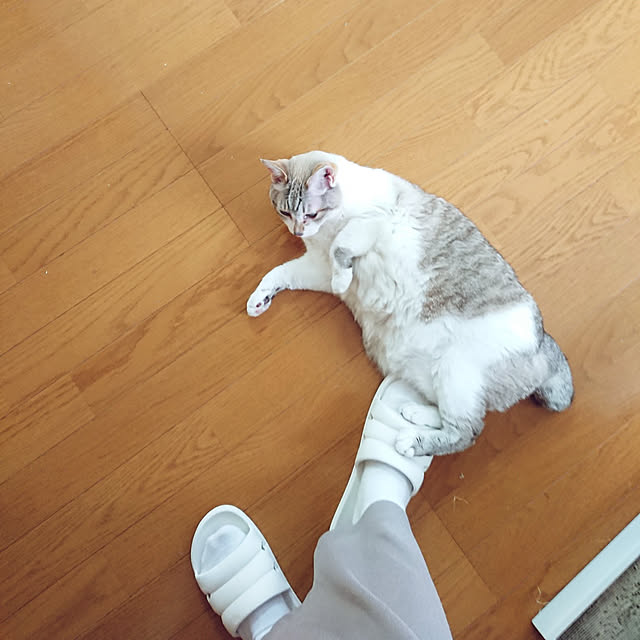 nachiさんの実例写真