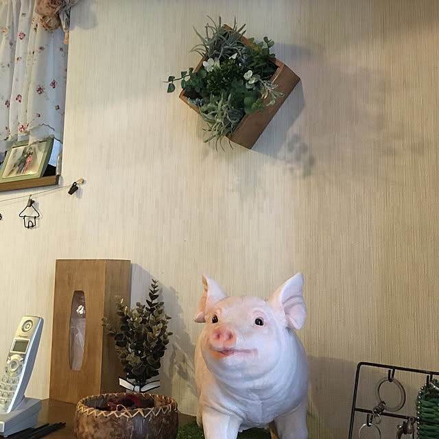 kensouakaさんの実例写真