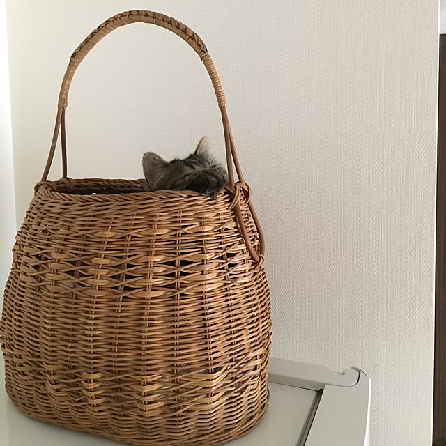mikomaruさんの実例写真