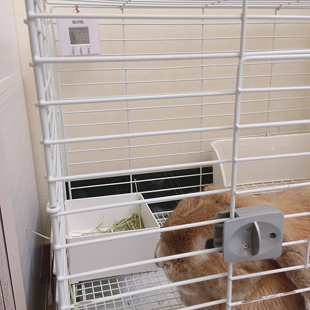 Asakaru_sopさんの実例写真