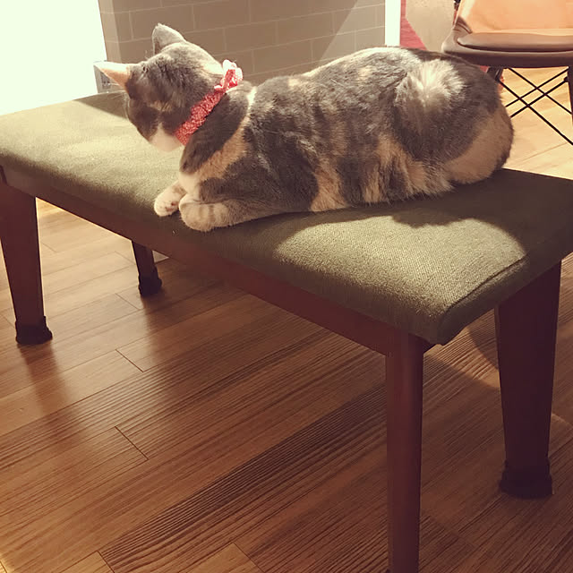 yoshibuさんの実例写真