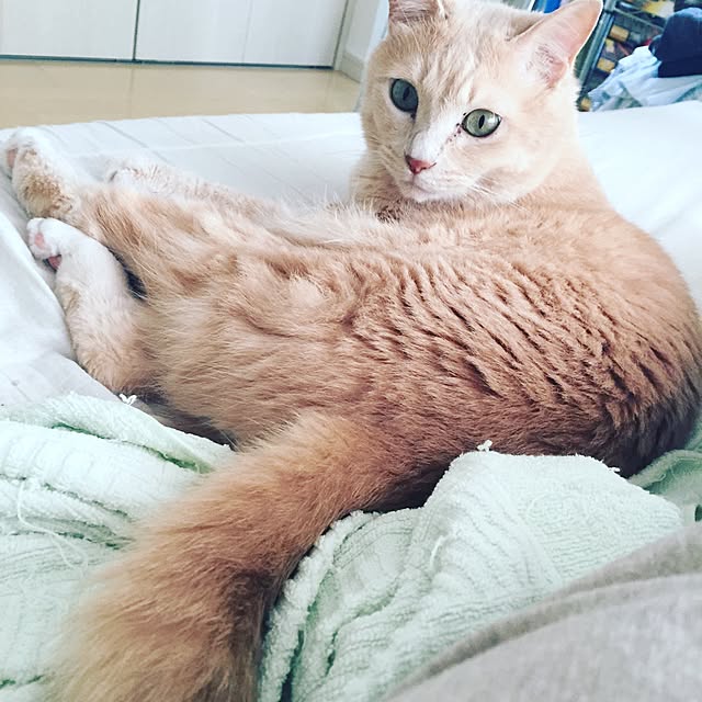 Maiさんの実例写真