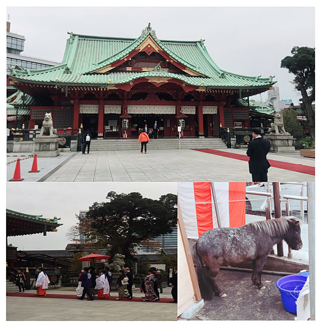 実例写真