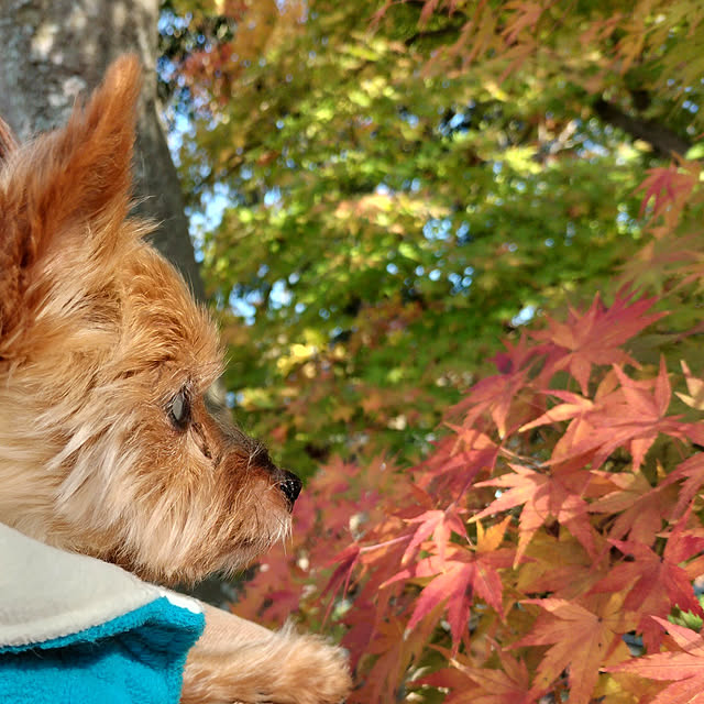 coco0.84.さんの実例写真