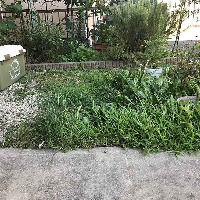 eshinobumさんの実例写真