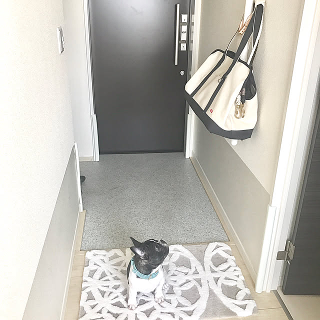 yunさんの実例写真
