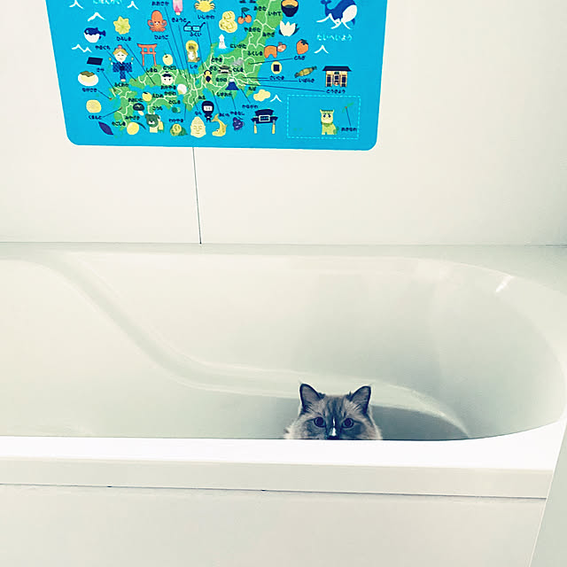 ne-coさんの実例写真