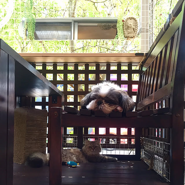 butachanさんの実例写真