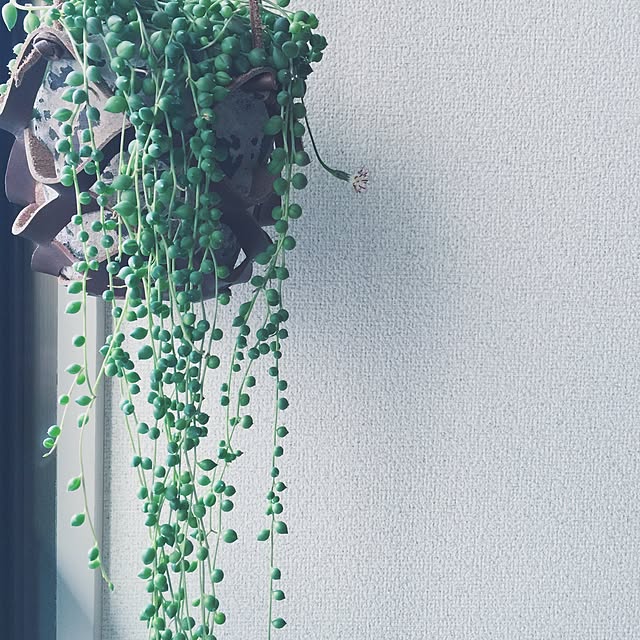 aut0n0micさんの実例写真