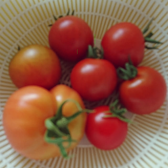 ameamekaasanさんの実例写真