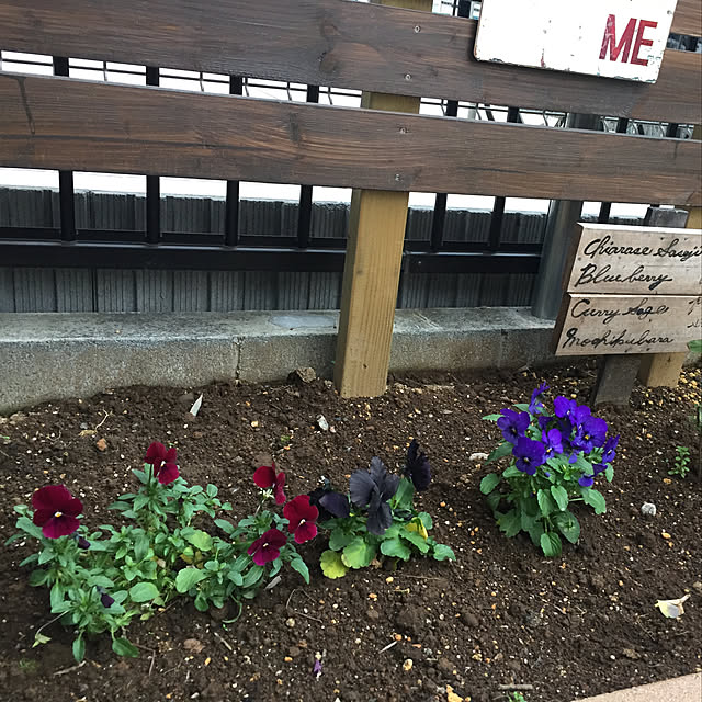 yokochinさんの実例写真