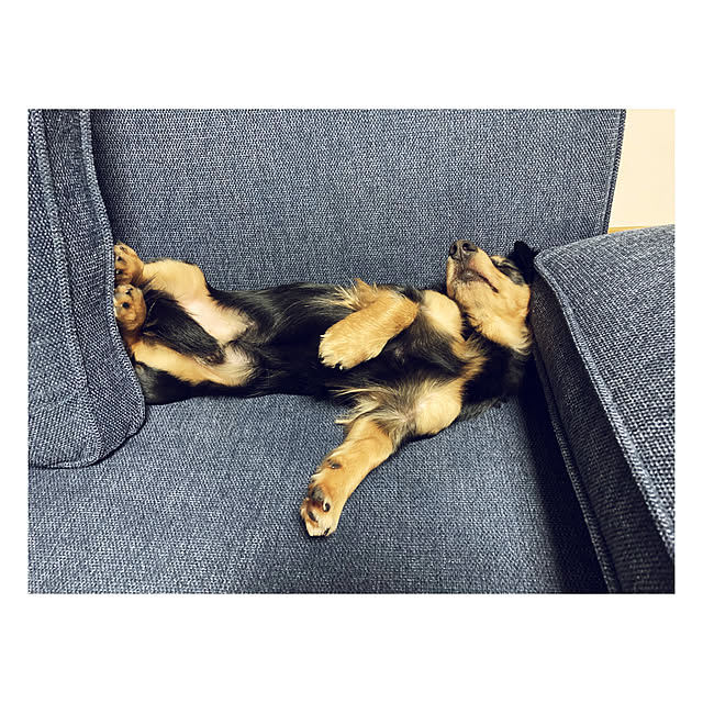 yukoさんの実例写真