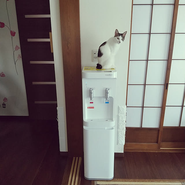 Mikaさんの実例写真