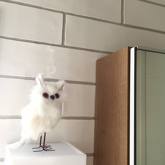 usaco.さんの実例写真