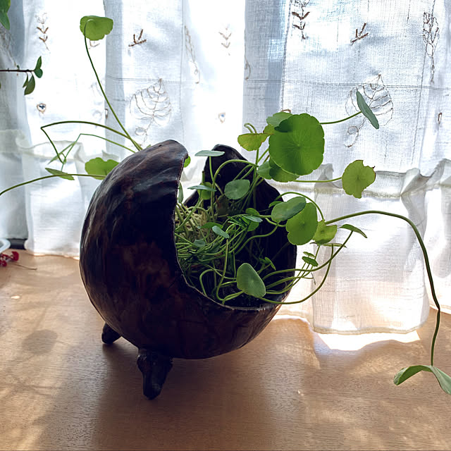 tudukiさんの実例写真