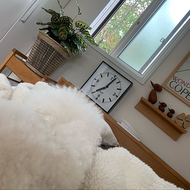 BUNさんの実例写真