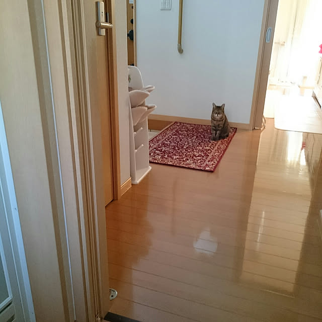lilyさんの実例写真