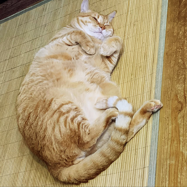 tututu0204さんの実例写真