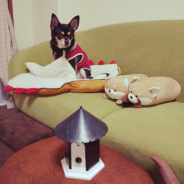 korohukumamanさんの実例写真