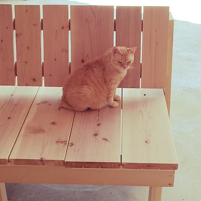 Toraziさんの実例写真