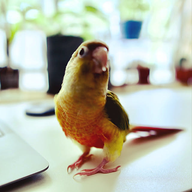 s.p.sunaoさんの実例写真