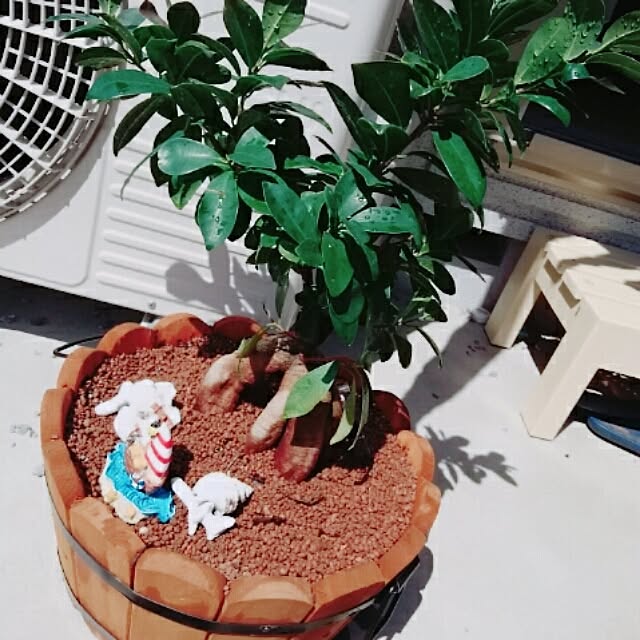saaaa617さんの実例写真
