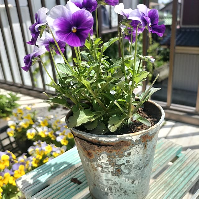 aoiroさんの部屋