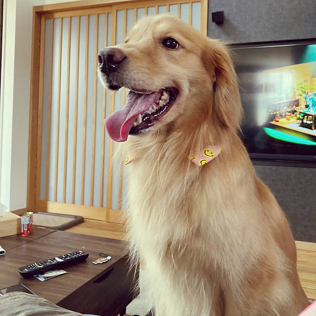 marimari11161116さんの実例写真