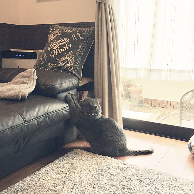 chikaさんの実例写真