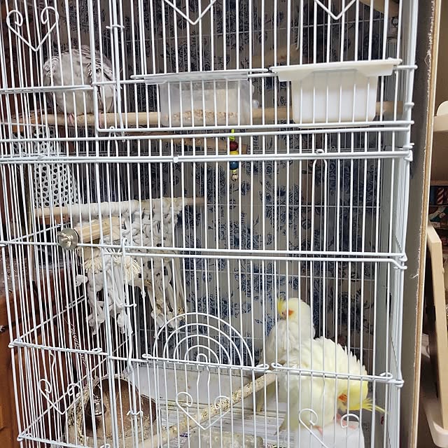 ANTENNAさんの実例写真