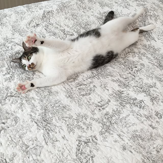 yuchiさんの実例写真