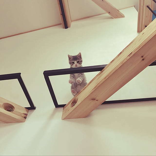 yucciさんの実例写真