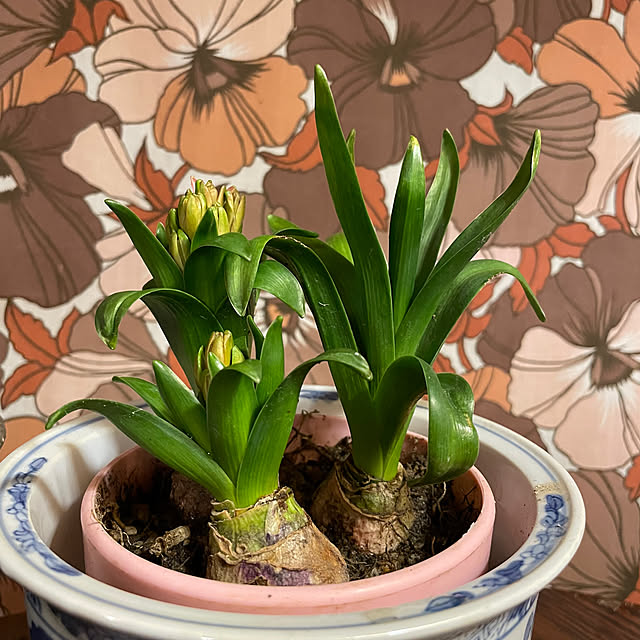 shin0719さんの部屋