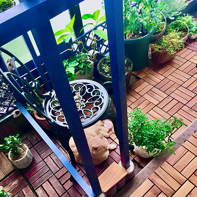 naokoさんの部屋