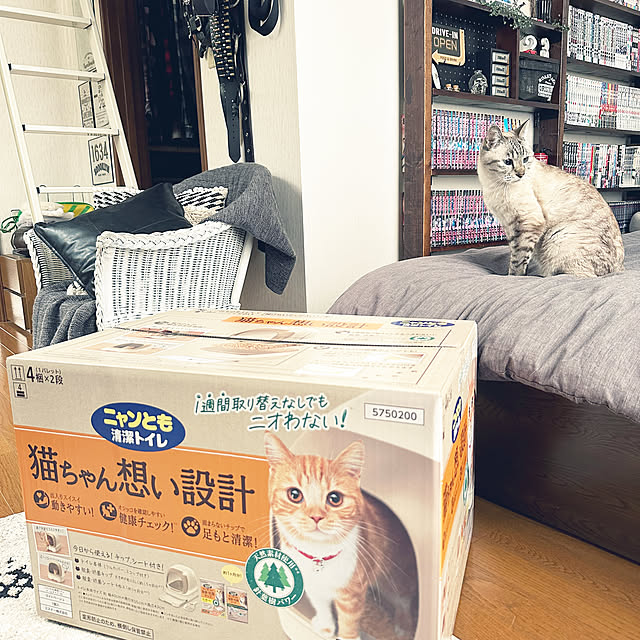 mieさんの実例写真