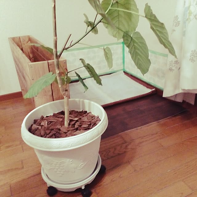 may.meさんの実例写真