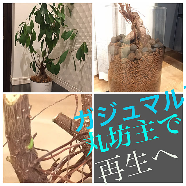 kurandoさんの実例写真