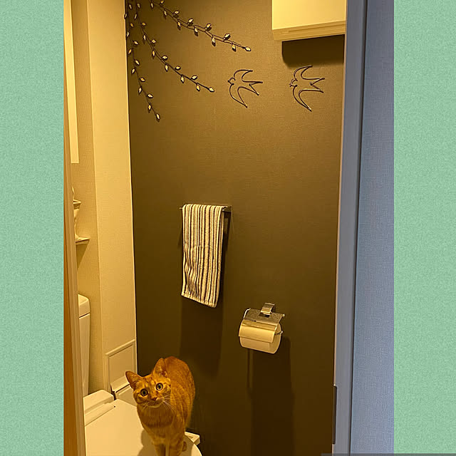 naturalさんの実例写真