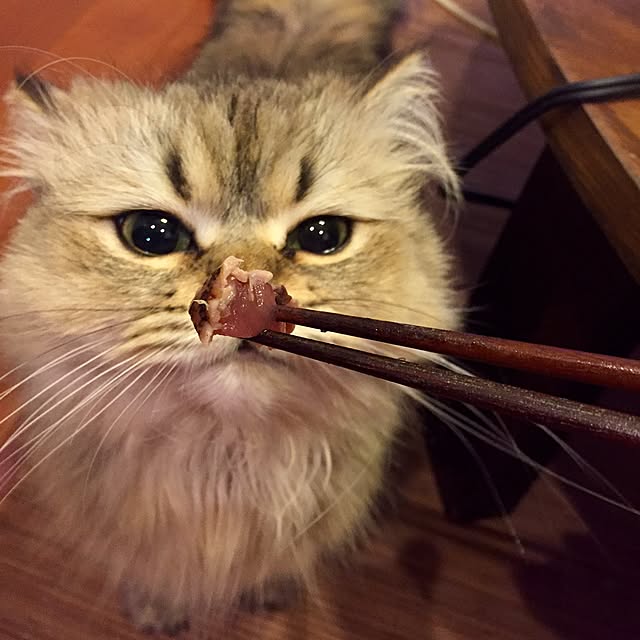butachanさんの実例写真