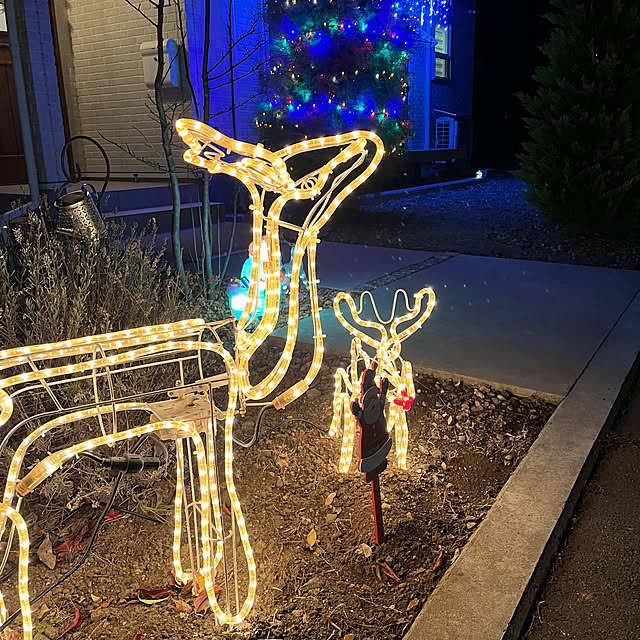 Hikaruさんの実例写真