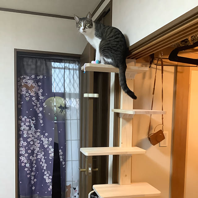 mochimochiさんの実例写真
