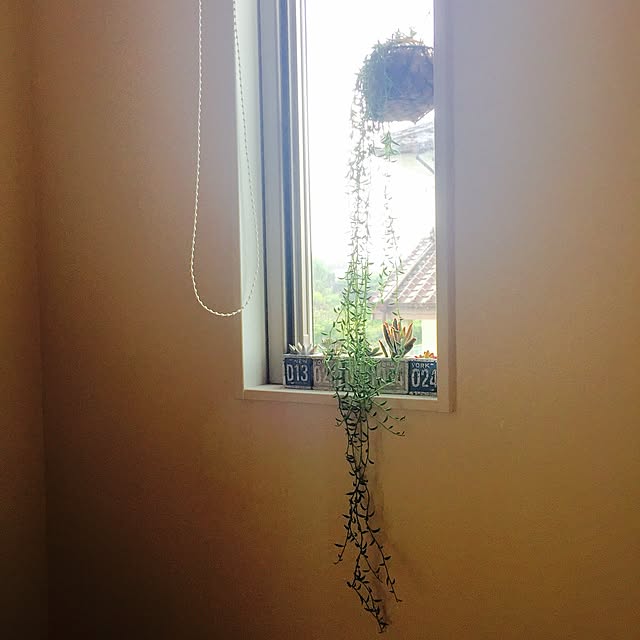 Minaさんの実例写真